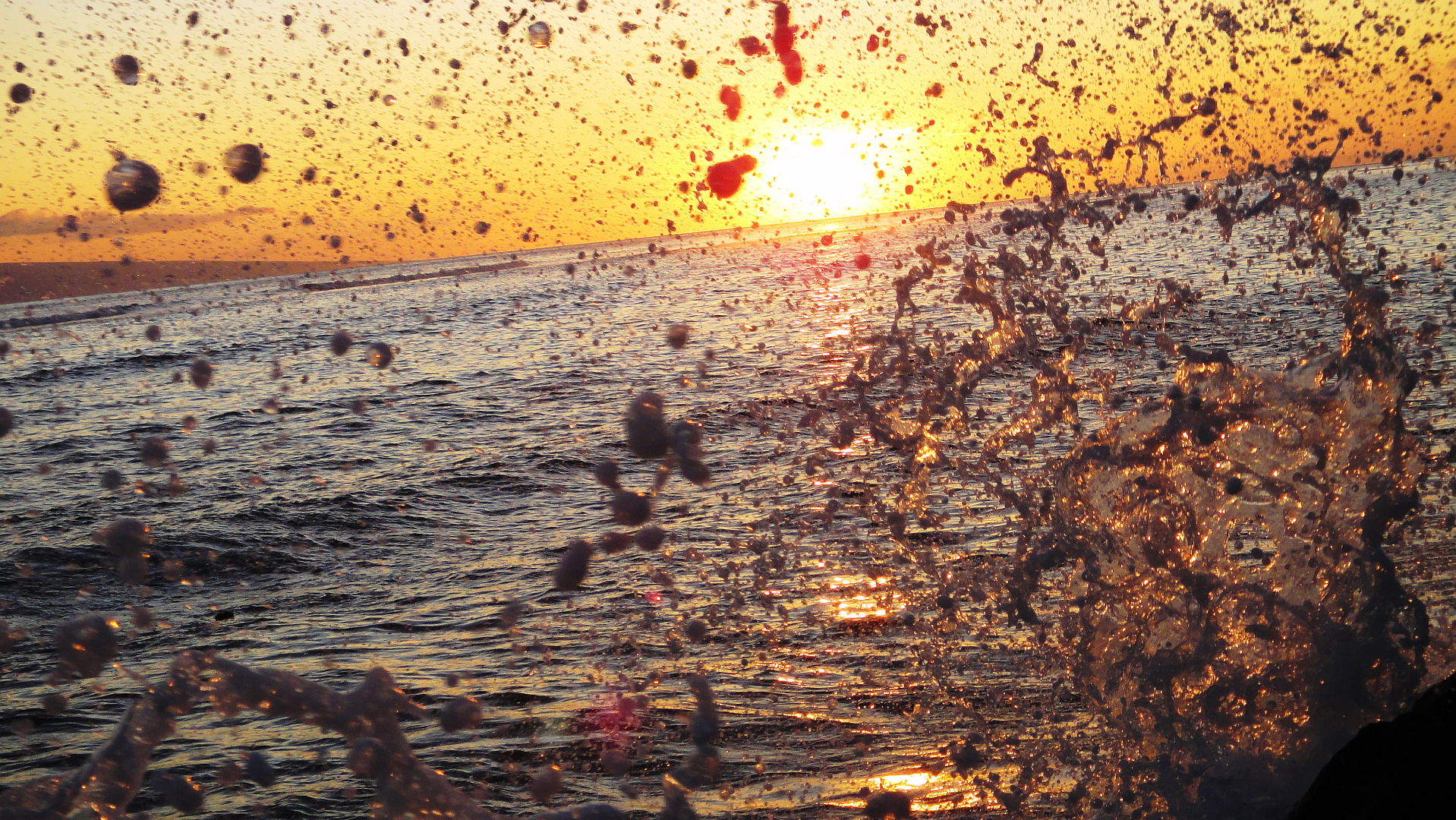 Splash